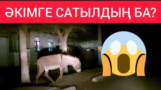 😱 ӘКІМГЕ САТЫЛДЫҢ БА? ВИДЕО ҚАЙДА? 2023 Кентау Байылдыр Жандос Тасов Түркістан / Жанбол Рахматулла