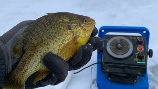 Perch Fishing, Rabbit Hunting, Pan Fishing; Michigan Out of Doors TV #2204