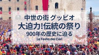 【イタリア日本二拠点生活】中世の街グッビオ 世界に届けたい大迫力の伝統祭り “La Festa dei Ceri” 900年の歴史に迫る