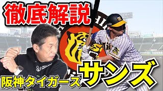 【阪神タイガース】最強助っ人サンズ選手のバッティングを徹底解説！佐藤輝明選手との違いは？【サンズ】【高橋慶彦】