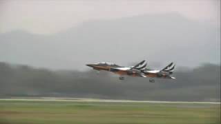 Sacheon Air Show