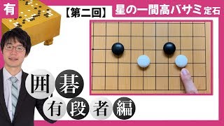 【囲碁有段者向け】 星の一間高バサミ定石 #2 「三々の変化」 ~プロ棋士柳澤理志~