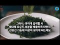 1급 발암물질 피하려면 미역국 미역