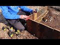 How to Build a RAISED BED Using PALLETS, FREE Backyard Gardening