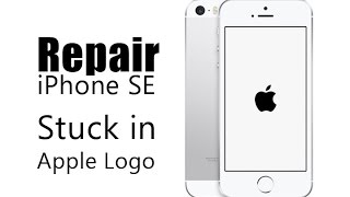 How to Fix iPhone SE Stuck On Apple Logo Screen