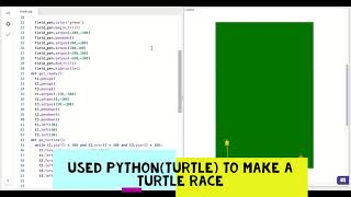Python Turtle Race