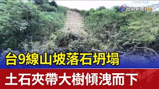 台9線山坡落石坍塌  土石夾帶大樹傾洩而下