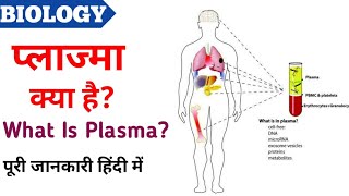 What Is Plasma?। प्लाज्मा क्या है।plasma tharepy। शरीर में प्लाज्मा की मात्रा success point gk class