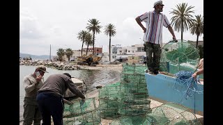 In Tunisia, thanks to Blue Marine, a new fishermen's cooperative has been established