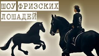 Шоу ФРИЗСКИХ лошадей на выставке \