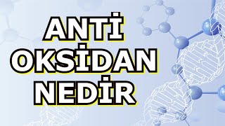 ANTİOKSİDAN NEDİR , NE İŞE YARAR , HANGİ BESİNLERDE BULUNUR