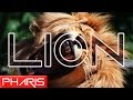 Nano - Lion (Pharis Remix)