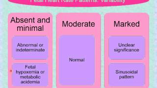 Intrapartum Lesson 3 1