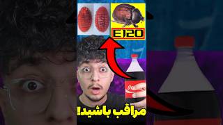 این حشره رو هممون خوردیم!😱 شوک آور ترین حقیقت درباره خوراکی ها❌