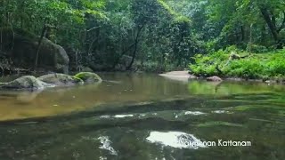 കണ്ണിനും മനസ്സിനും കുളിർമ്മ പകരും മനോഹര കാഴ്ച.