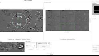 IonOptix MultiCell Cell Finding