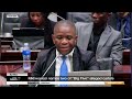 Nhlanhla Mkhwanazi continues to testify in Parliament