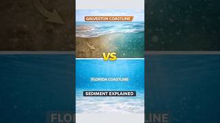 Why Galveston Water Looks So Different from Florida #galveston #geology