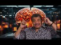 the human ‘soul’ does not exist neil degrasse tyson consciousness u0026 the brain