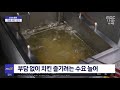 신선한 경제 치킨값 치솟자 1만 원대 편의점 반값 치킨 인기 2022.05.13 뉴스투데이 mbc