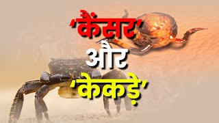 क्या है कैंसर और केकड़े का रिश्ता? #cancer #crab