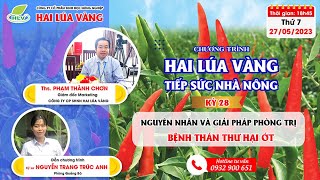 [HLV TIẾP SỨC NHÀ NÔNG] KỲ 29:NGUYÊN NHÂN VÀ GIẢI PHÁP PHÒNG TRỊ BỆNH THÁN THƯ HẠI ỚT