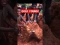 World's biggest gold rock found by village boys in Africa! #shorts #trending
