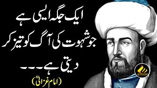 IMAM GHAZALI | Urdu Sufi | Al-Ghazali Islamic Literature | Sunehri Huroof | The Leading Lights