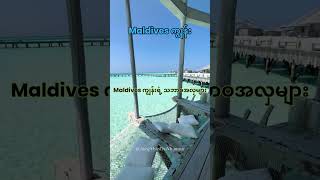 Maldives ကျွန်း#shorts