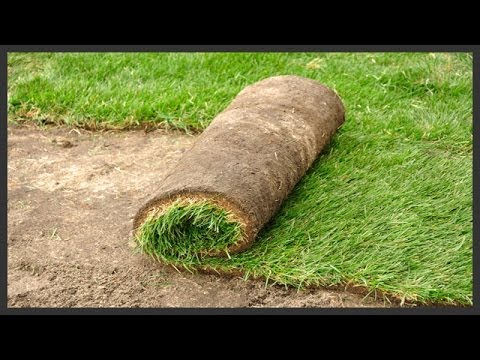 How to Install Sod. How to Install Sod.