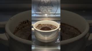 2 Ingredient Oreo Mug Cake
