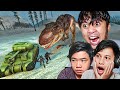 PERANG! Tank VS T-Rex | Garrys Mod