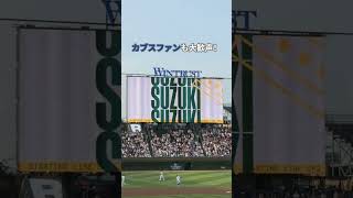 シカゴ・カブスのリグレー・フィールドに行ってみたよ！ #baseball #chicagocubs #cubs #カブス #wrigleyfield #mlb #chicago #野球