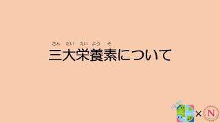 食育動画【1】:三大栄養素について