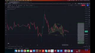 HOW-TO: Auto Harmonic Pattern - Screener [Trendoscope]