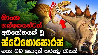 ස්ටෙගොසොරස් ගැන පුදුම හිතෙන කරුණු | Stegosaurus Dinosaur - Sinhala Video