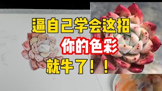 为什么要学会临摹？ 零基础水彩入门教程