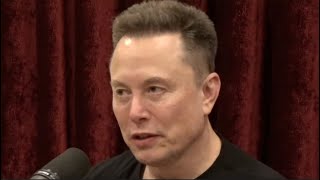 Elon Musk's AI Utopia: No Jobs And Infinite Money - Joe Rogan