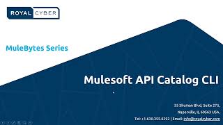 MuleBytes I MuleSoft API Catalog CLI I MuleSoft Demo Video | How to publish and catalog them!