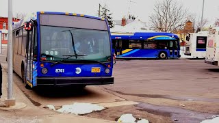 Onboard | 2019 Novabus LFS #8741 as L Shuttle - Canarsie Rockaway Parkway Terminal