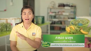 รายการไอเดีย เกษตร (Season2) Ep.14 ผักปลอดสารมาตรฐาน Organic Thailand ฮักแด้ ฟาร์ม จ.ศรีสะเกษ