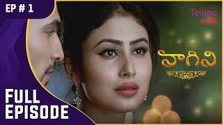 Naagini | నాగిని | Ep. 1 | The Epic Begins | కథ మొదలు