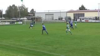 SSV Havelwinkel Warnau - SV Blau-Gelb Goldbeck 4:2 (2:0)