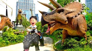 Dinosaurs Park Outdoor Playground for Kids Amusement Family Fun Playground VIdeo