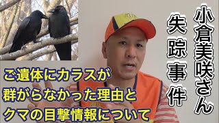 小倉美咲ちゃんのご遺体があったのなら、なぜカラスが群がらなかったのか？クマの目撃情報についてを現役猟師が解説します。