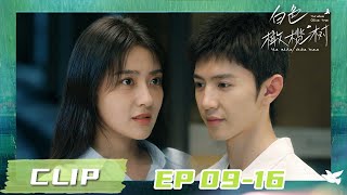 🌙【The White Olive Tree EP09\u002616】Li Zan \u0026 Song Ran  a tipsy encounter at the bar | iQIYI Star Theater