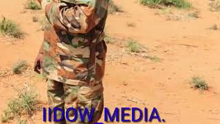 Taliyaha ururka 40aad ee guutada 5aad ee qeybta 27aad xooga dalka somalia .    #IIDOW_MEDIA