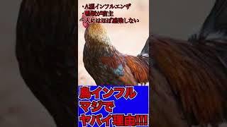 【感染】かかるとヤバ過ぎるウイルス（鳥インフルエンザ） #Shorts #雑学 #考察 #科学 #生物