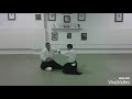 aikido kisei.......flexibility and timing.. ....