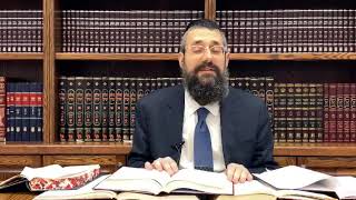 # 22 —Moshiach: Serving Hashem in the Image of Dovid HaMelech